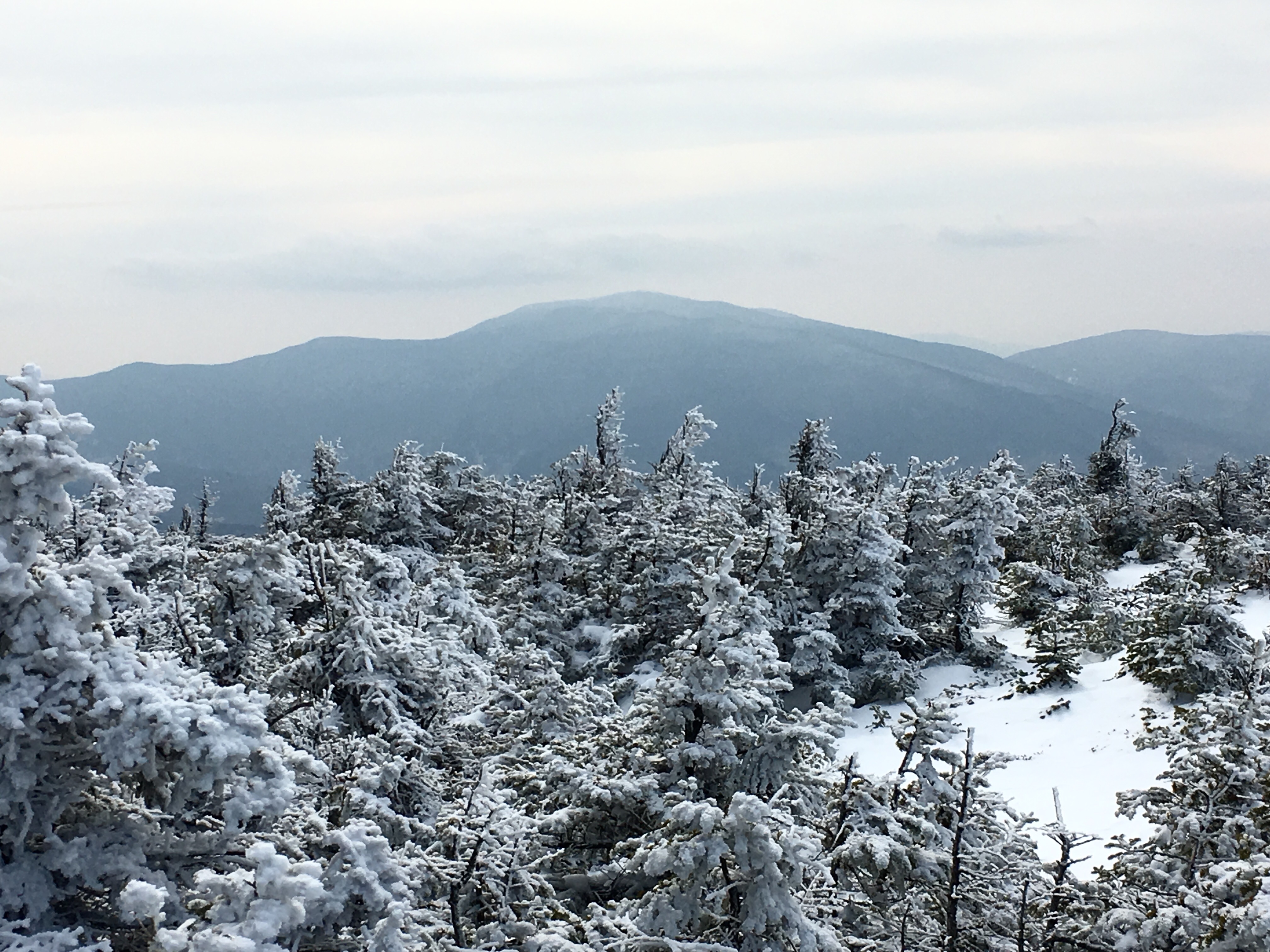 Mt. Moosilauke