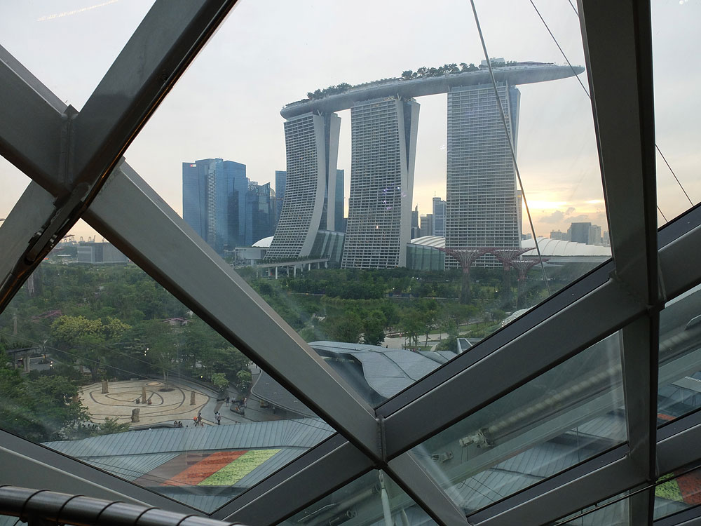 Marina Bay Sands building seen from within the conservatory dome at Gardens by the bay