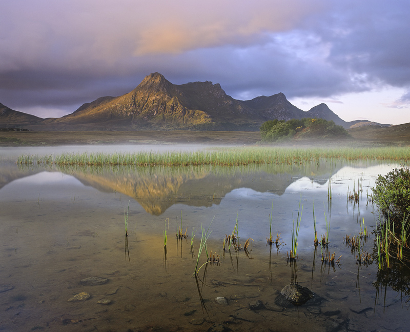 Awakening Ben Loyal