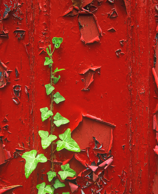 Red Shed Green