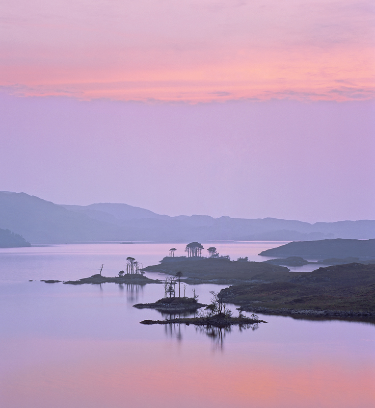 Pink Assynt