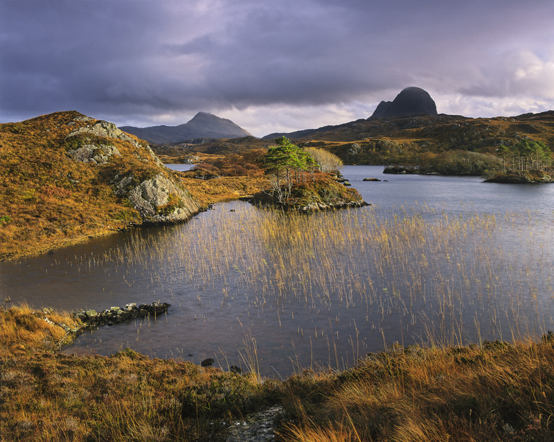 Suilven Gold