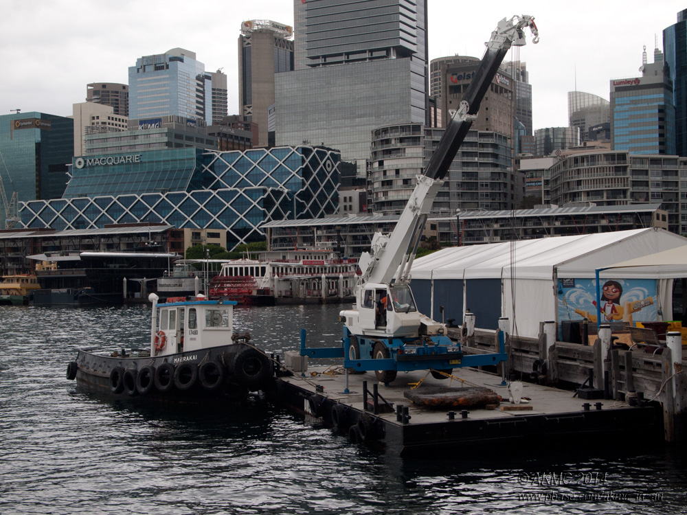140206_2063111 Toting That Barge and Lifting That Bale (Thu 06 Feb)