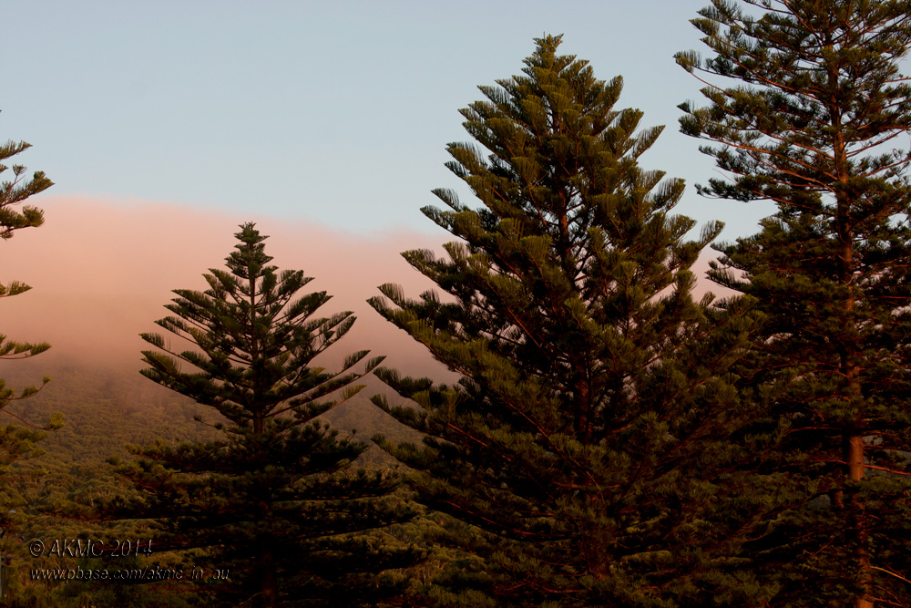 140209_7533 Red Dawn Over the Escarpment (Sun 09 Feb)