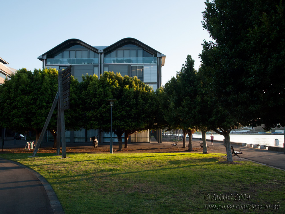 140501_5013132 Warm Morning Light of Autumn (Thu 01 May)