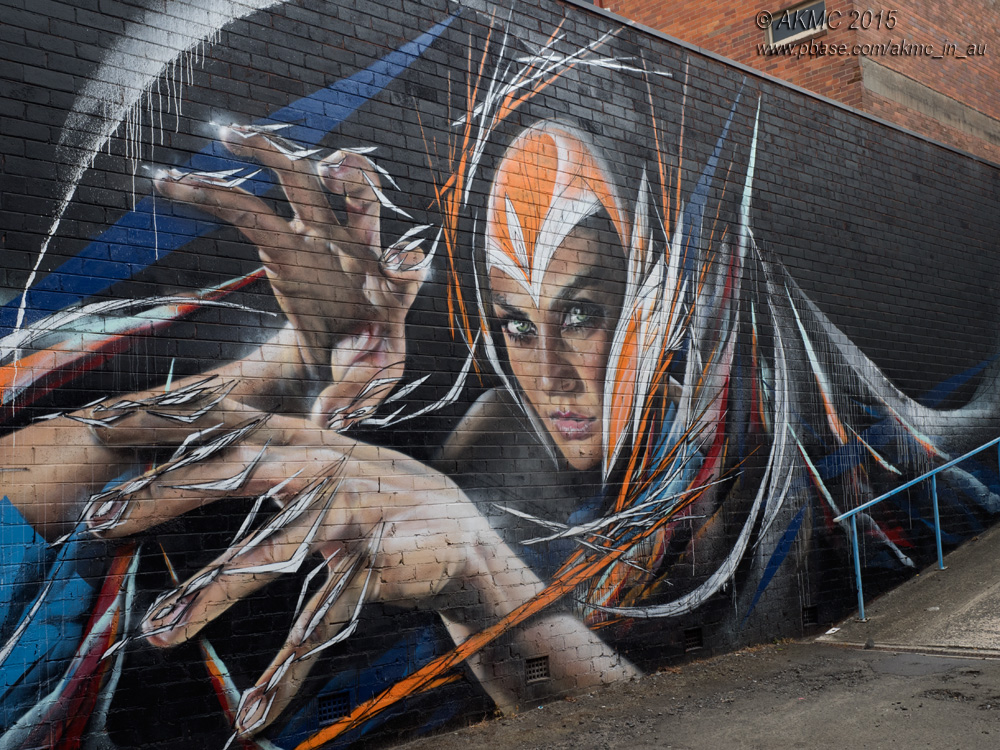 20150102_1889 The (Painted) Faces Of Wollongong I (Fri 02 Jan)