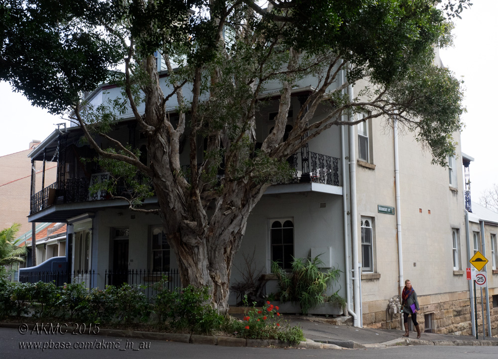 20150924_009151 This Ol Terrace House (Thu 24 Sep)