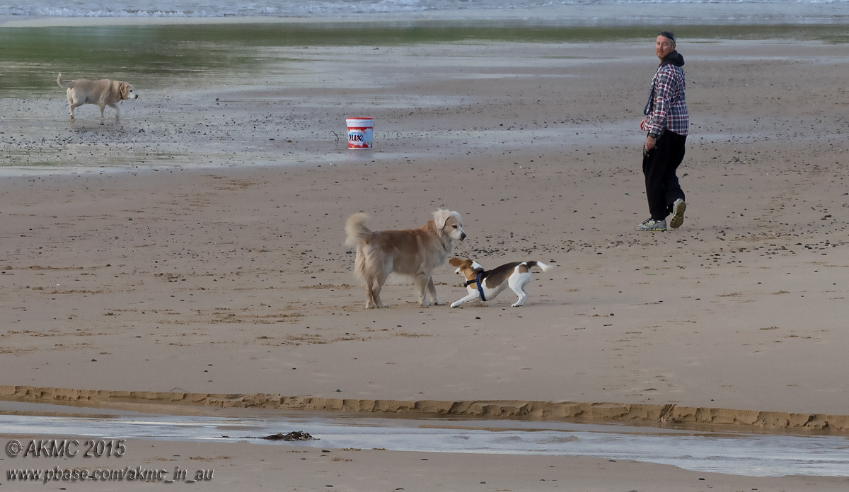 20150608_007498 A Different Rule Of Thirds (Mon 08 Jun)