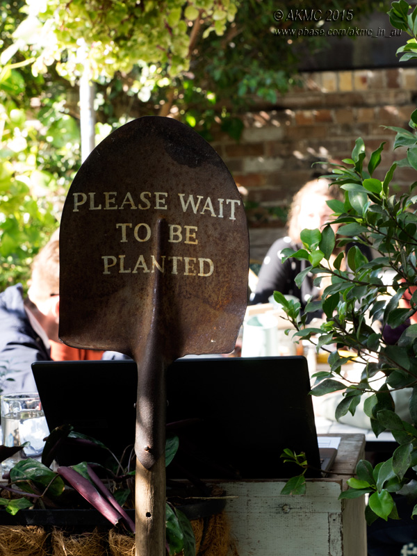 20150808_008601 Please Wait to Be Planted (Sat 08 Aug)