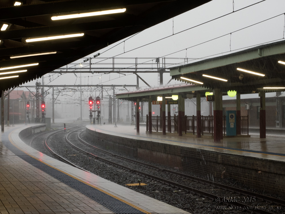 20151113_009759 One Week On (Fri 13 Nov)
