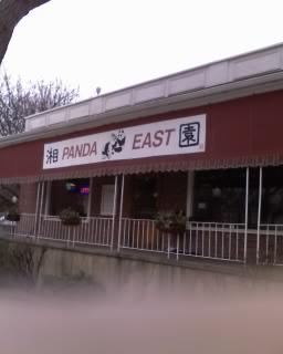 panda east.jpg