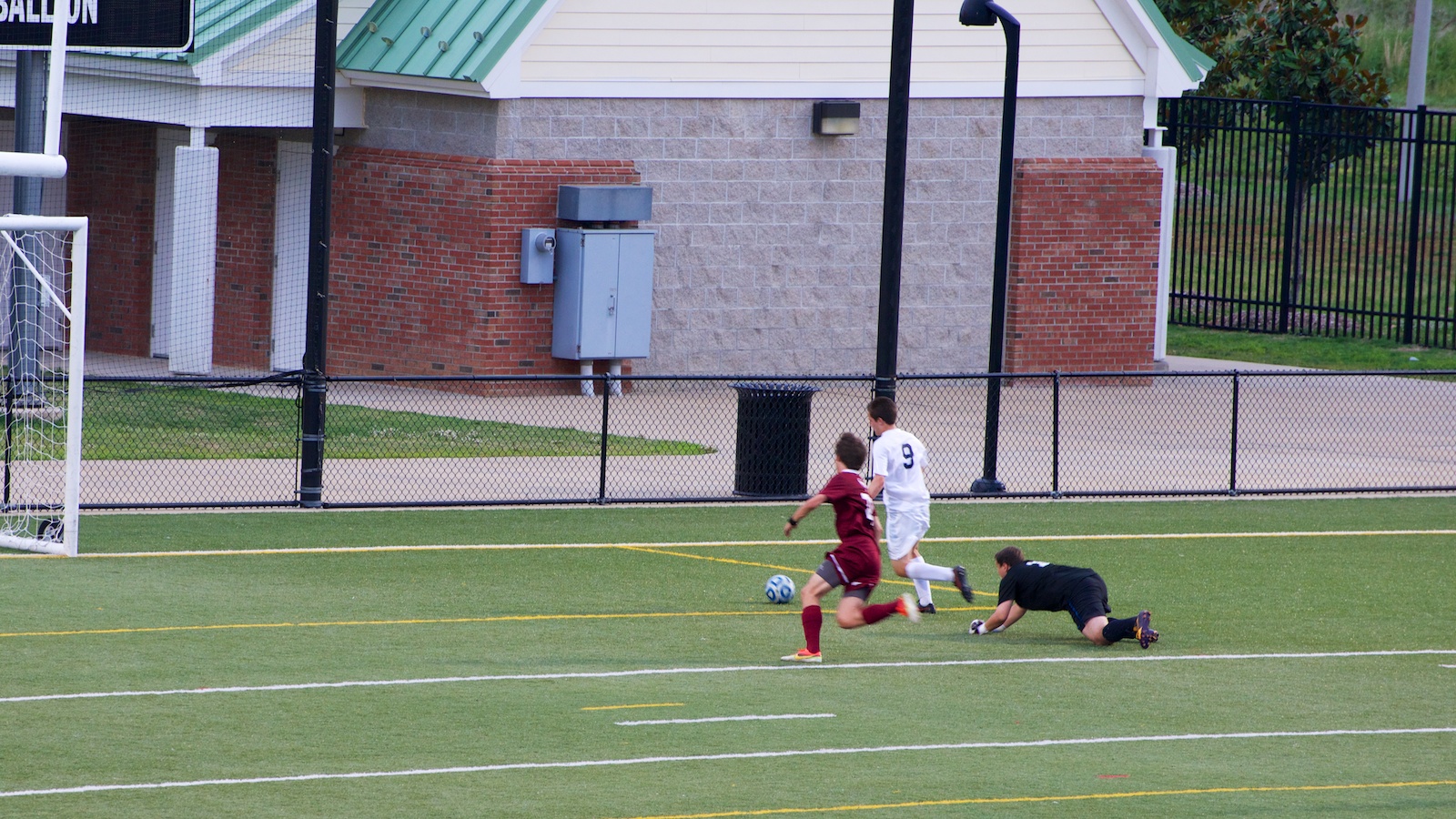 DSC_6461.jpg