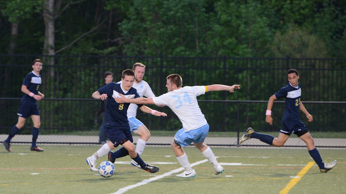 DSC_4221.jpg