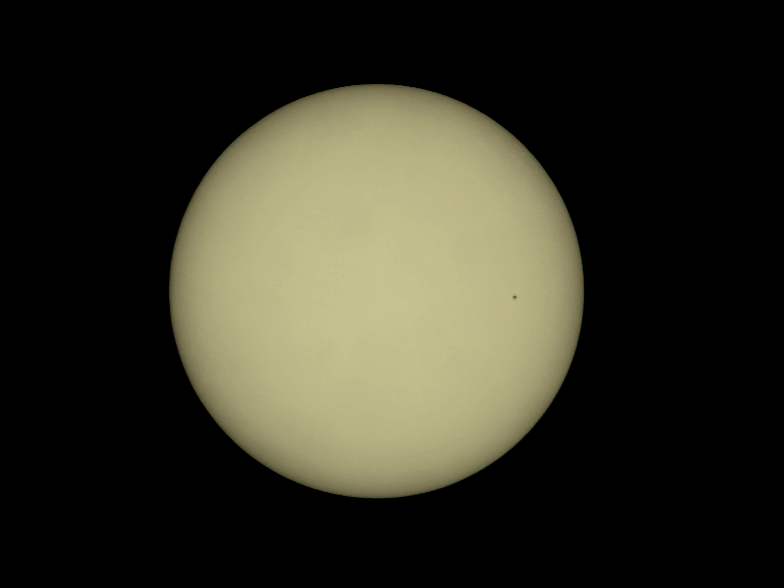 SOFI-2015-1.JPG