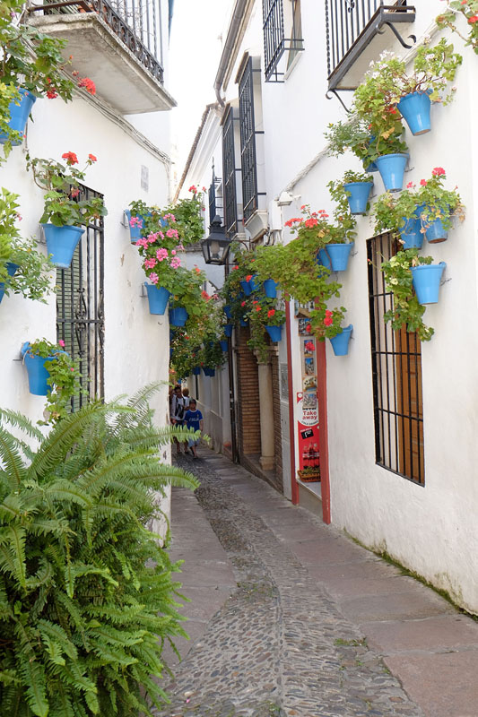 Cordoba street