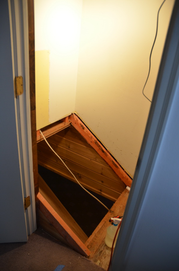 DSC_0438_resize.JPG
