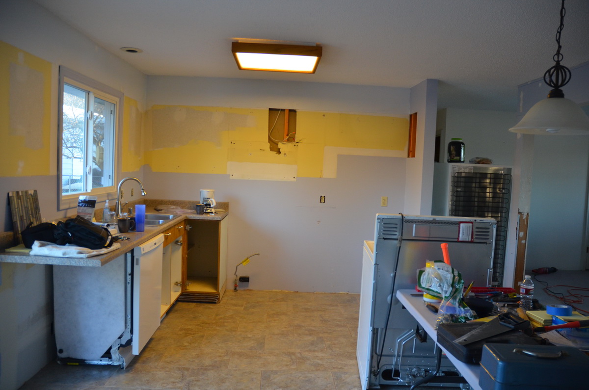 DSC_0499_resize.JPG