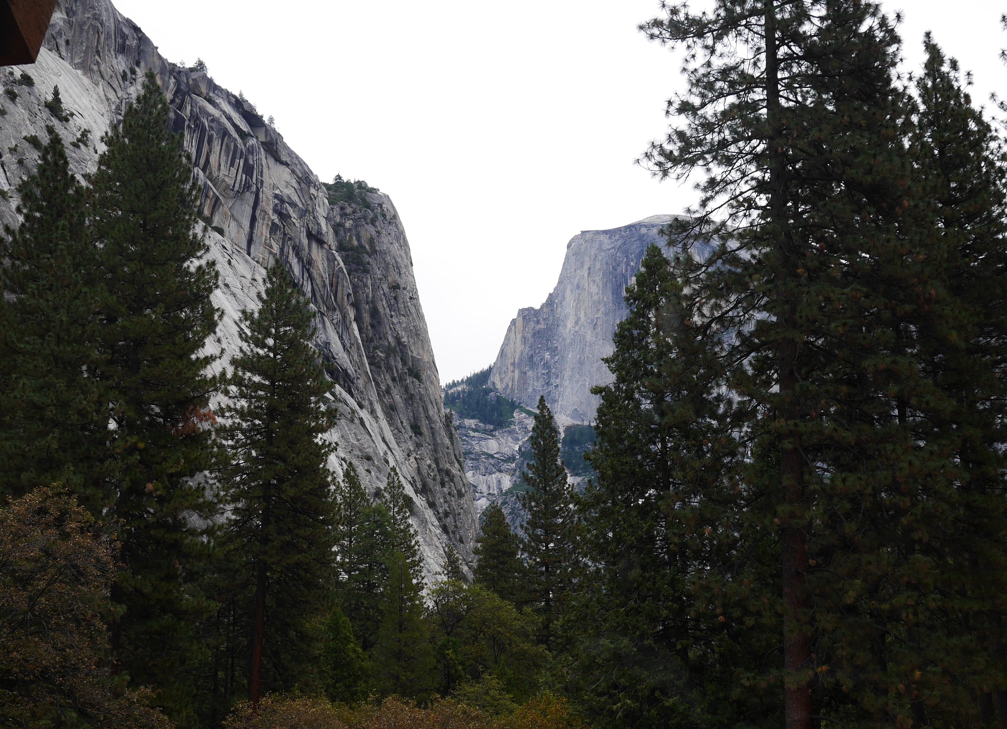 Half dome from room 423