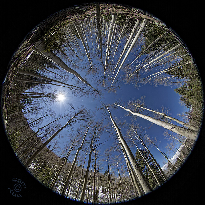 Aspen Zenith
