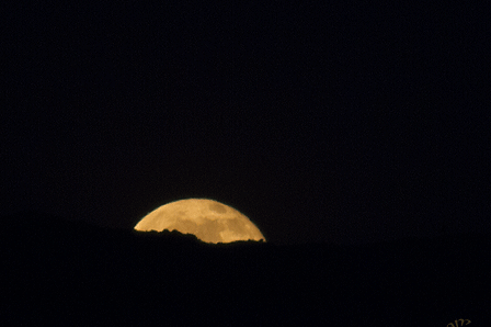 Summer Solstice Moon Rising