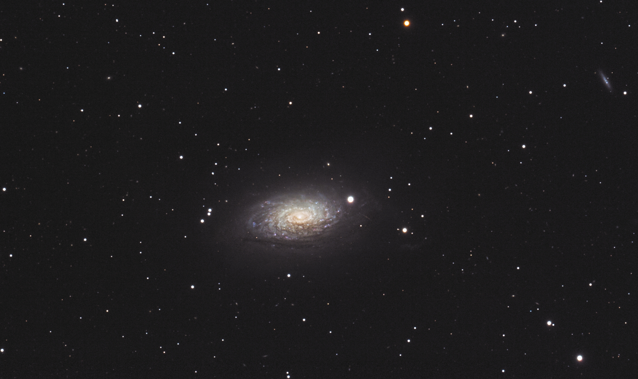 M63