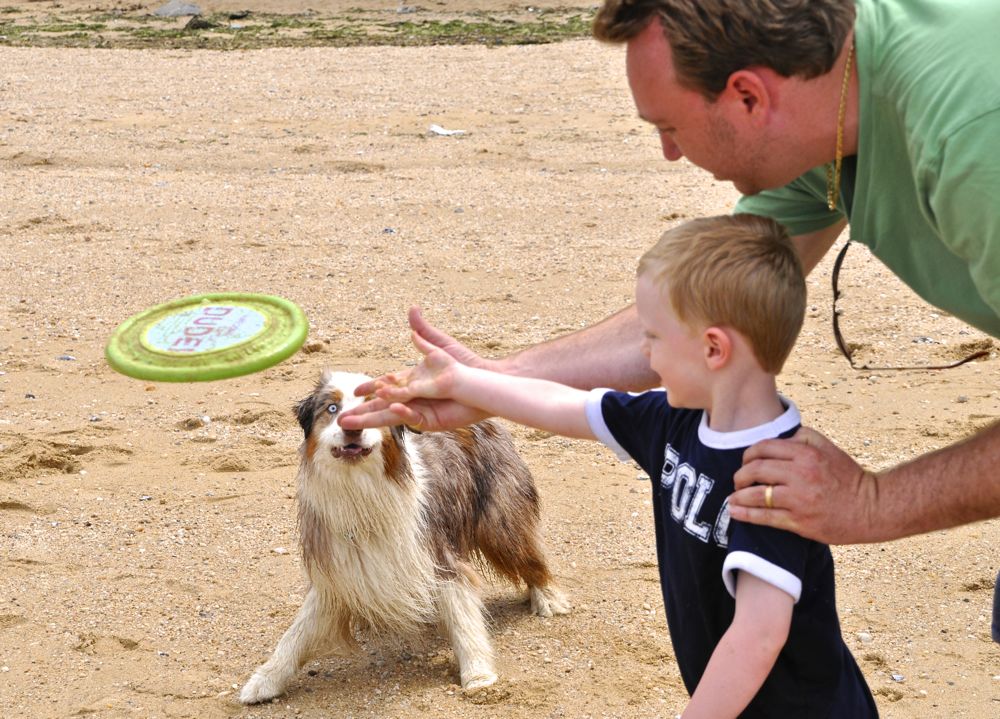 Learning How To Throw A Frisbee 