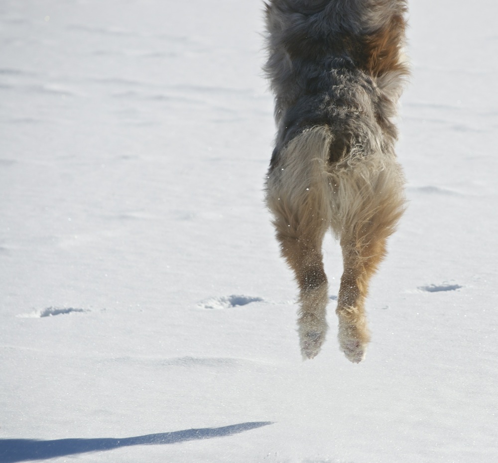 Mission Control, We Have Lift Off