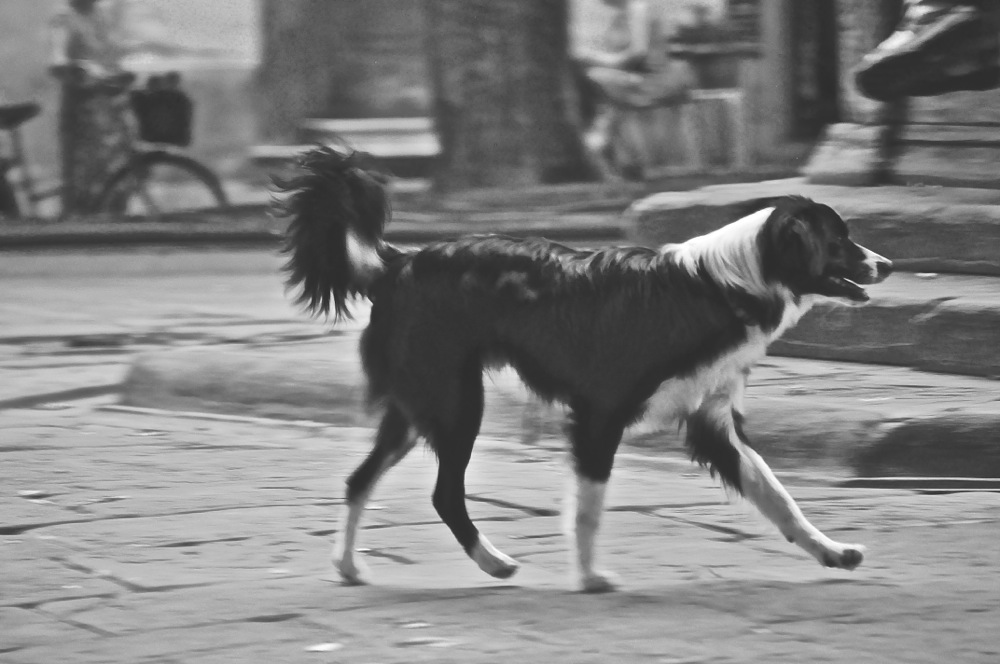 Walking Himself