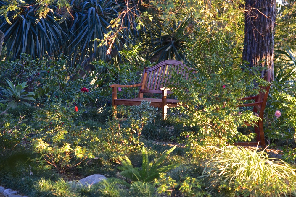 A Peaceful Place to Sit and Think