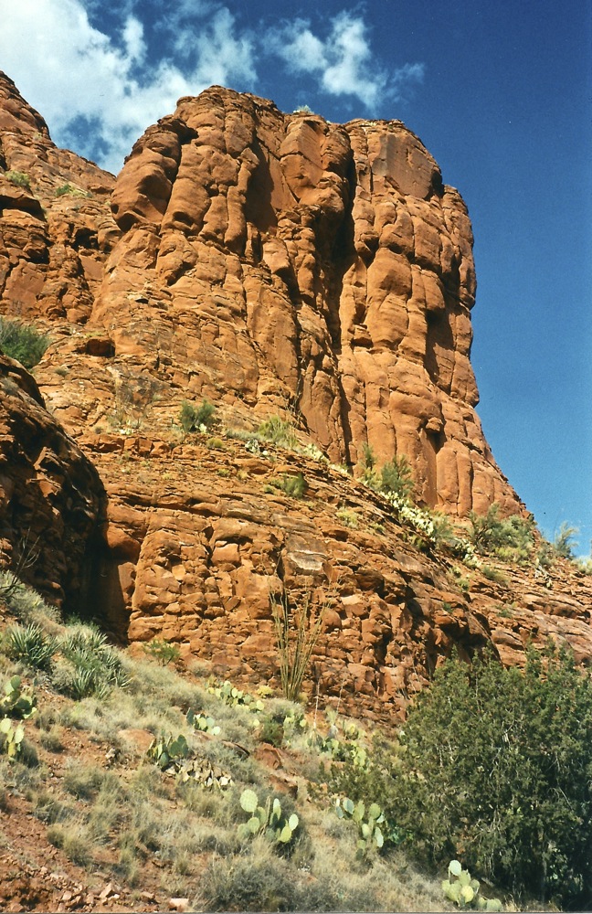 Sedona Red Rocks