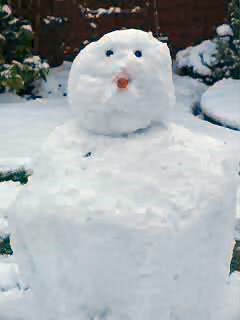 ColinsSnowman.jpg