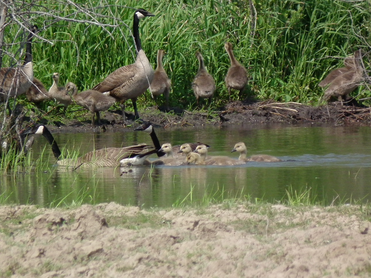 DSCF7055.JPG