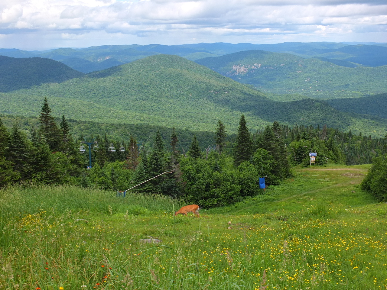DSCF3194.JPG