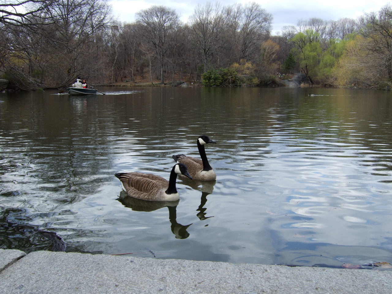 2007_04070275.JPG