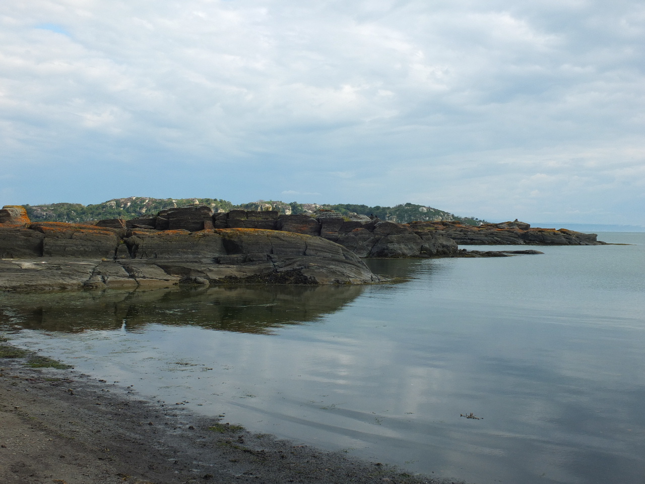 DSCF7270.JPG