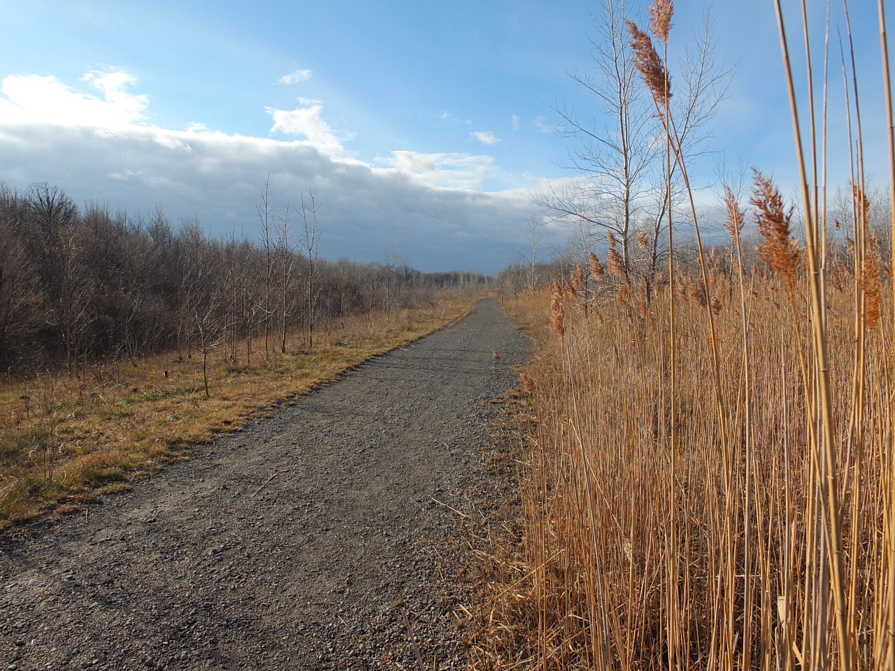 DSCF7654.JPG