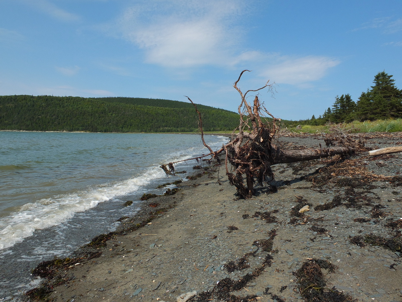 DSCF8878.JPG