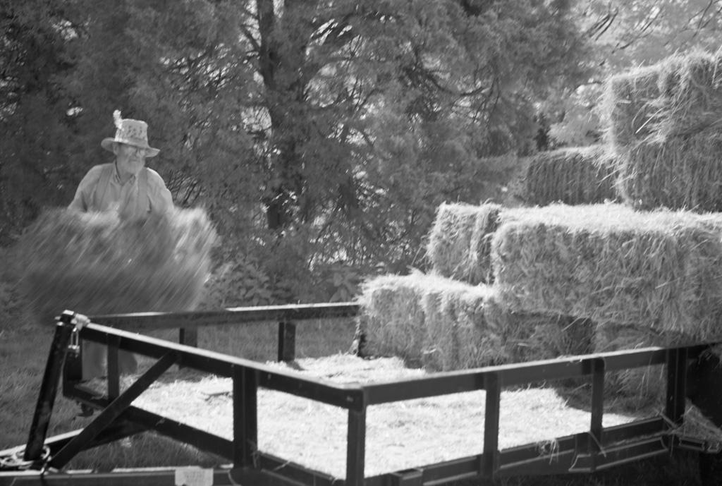 Loading Hay