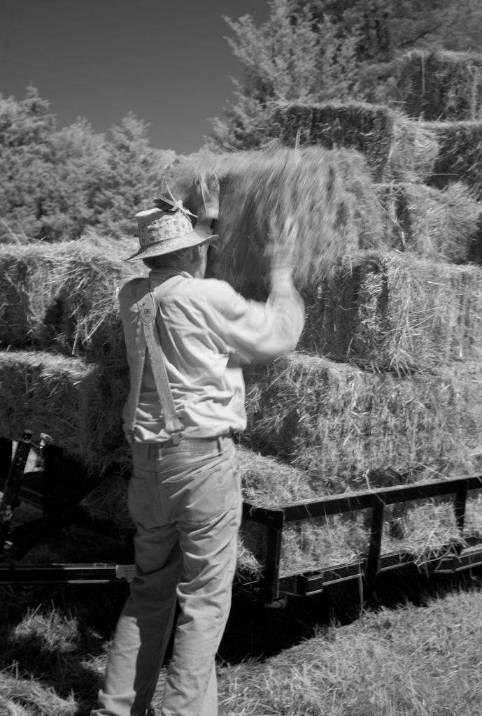 Loading Hay, 3