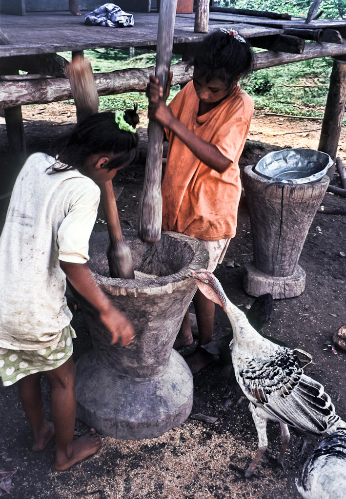 Pounding Rice, II