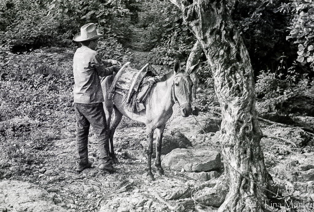Caballo and Caballero