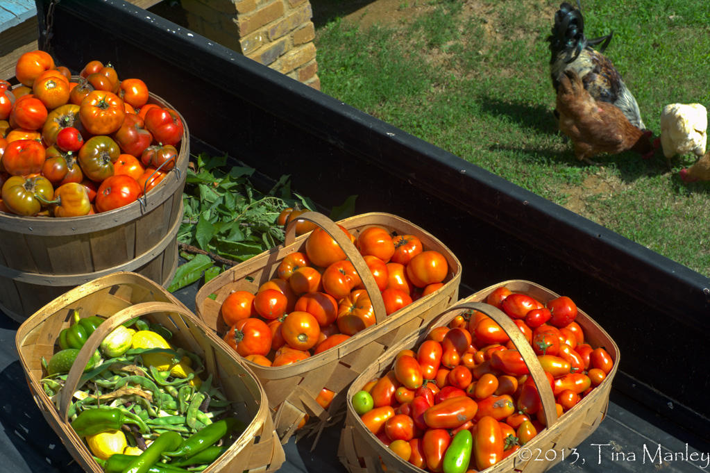 Harvest!