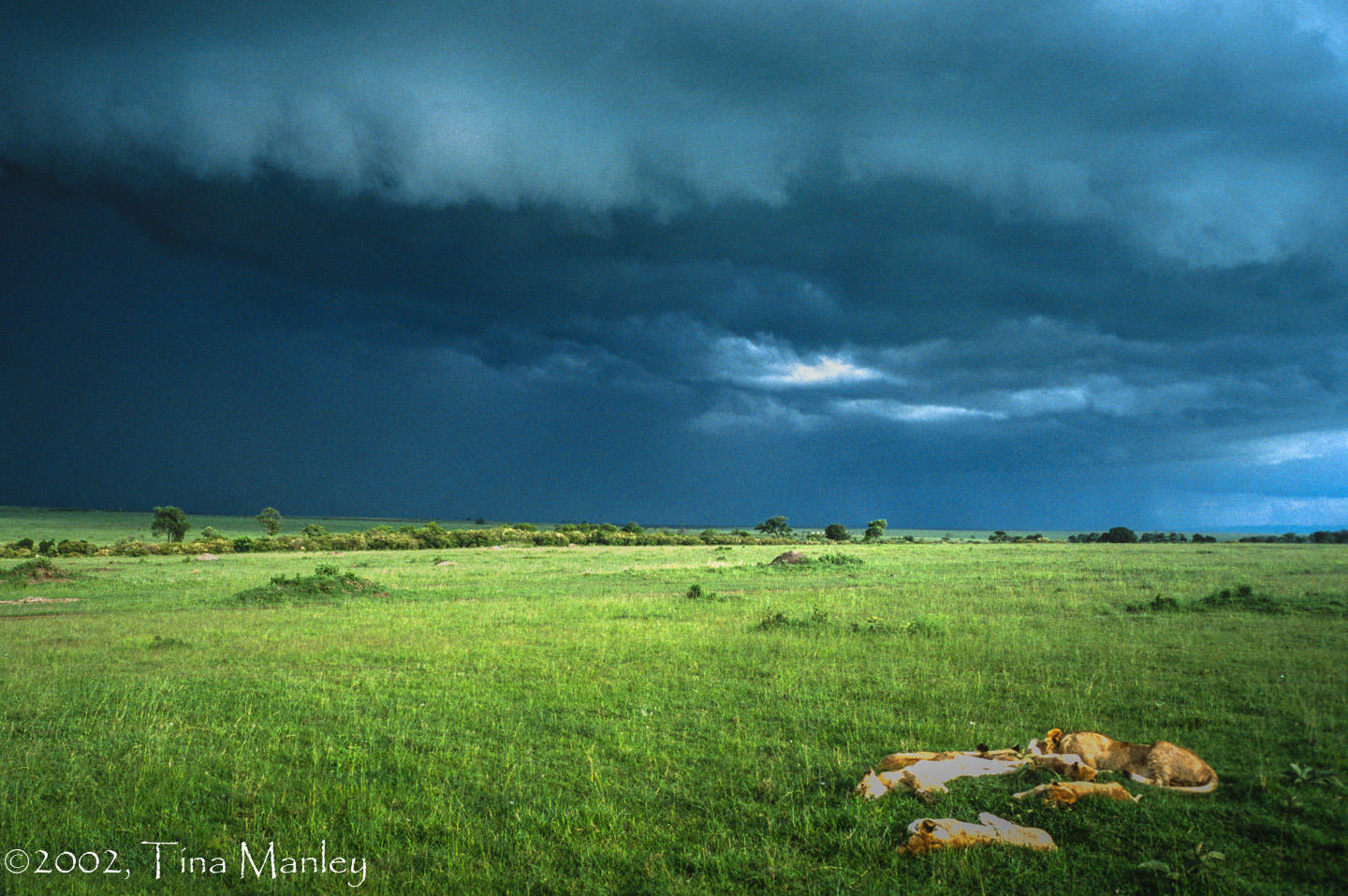 Sleeping Pride, Approaching Storm