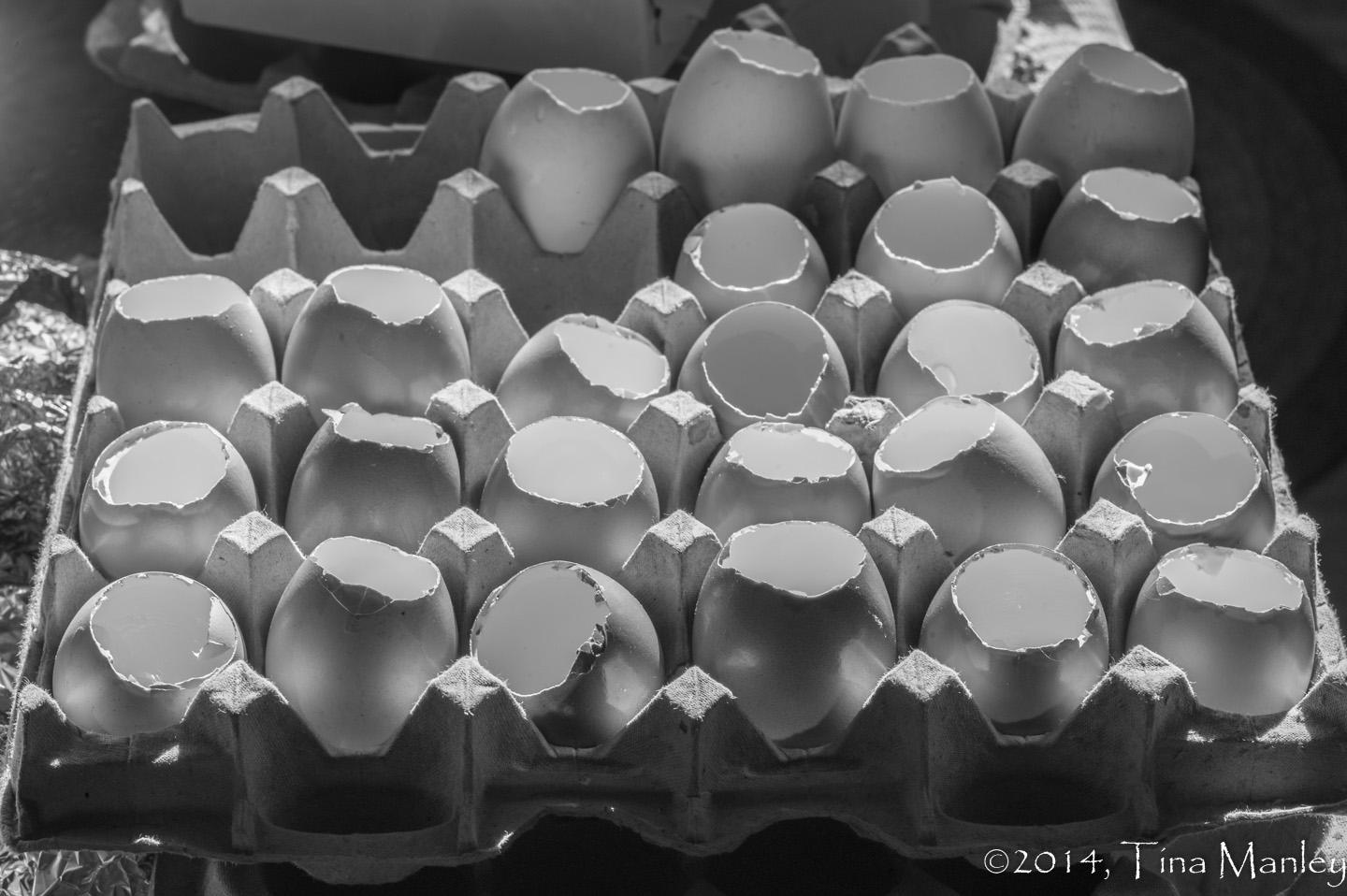 Eggshells, 3