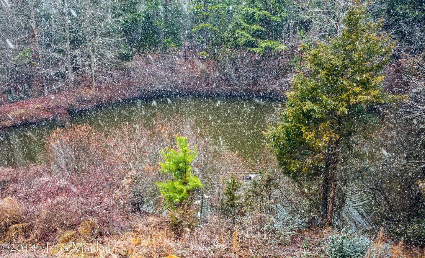 SNOW!!