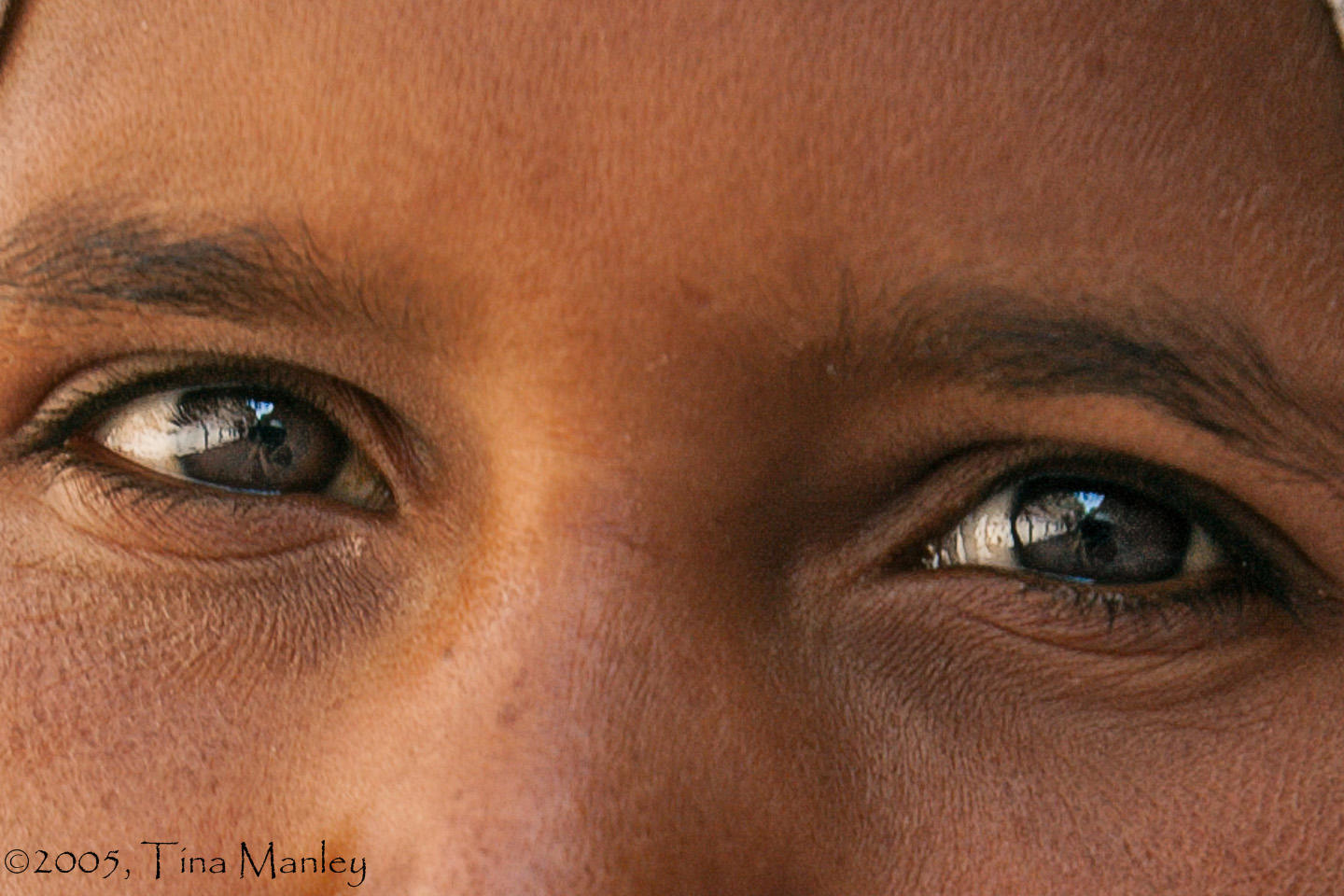 Eyes