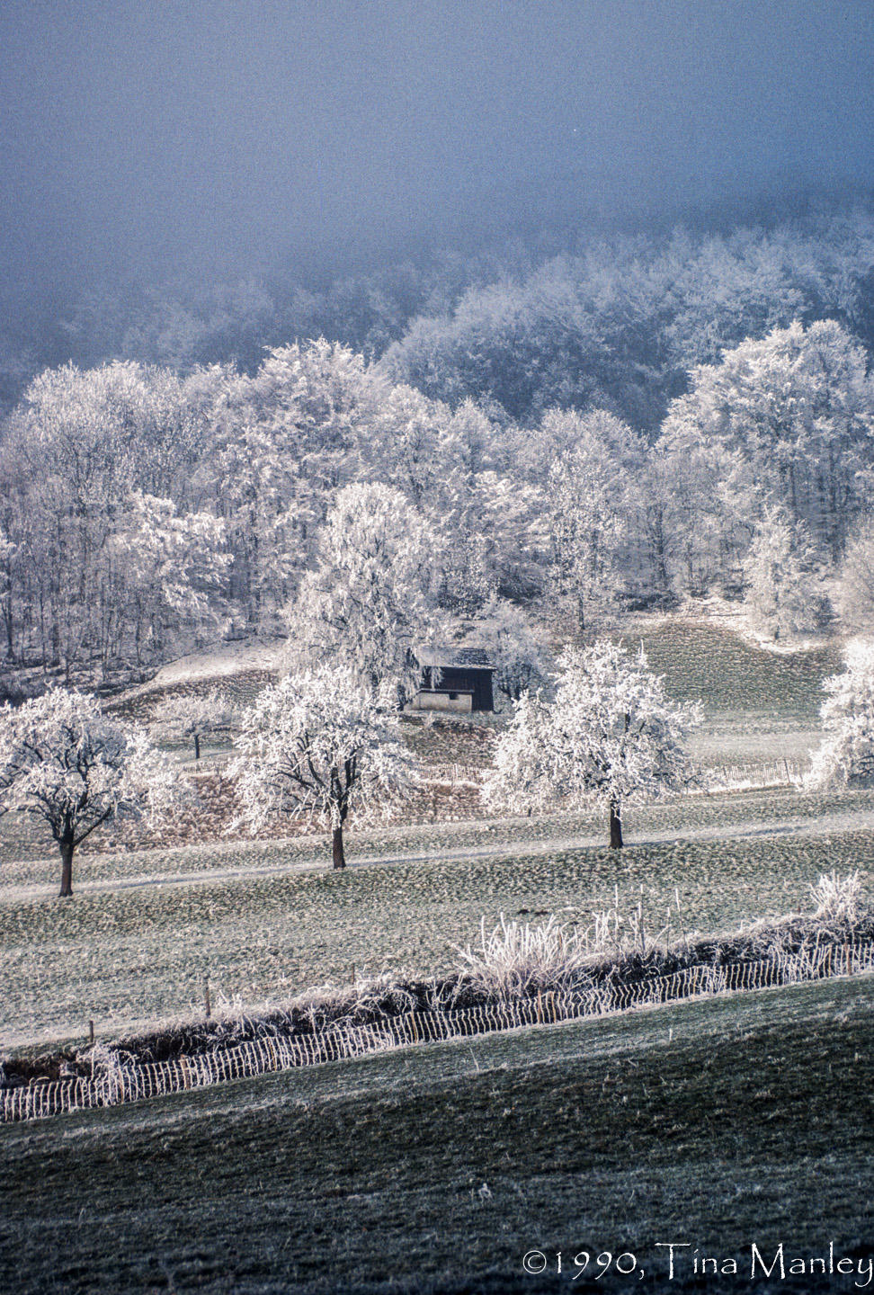 50477_00114.jpg
