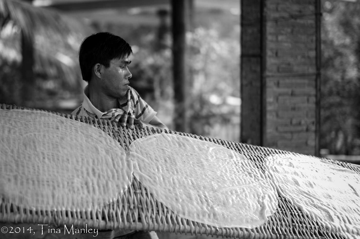 Rice Paper