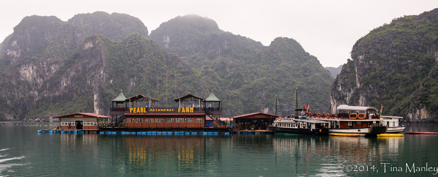 Pearl Farm, II
