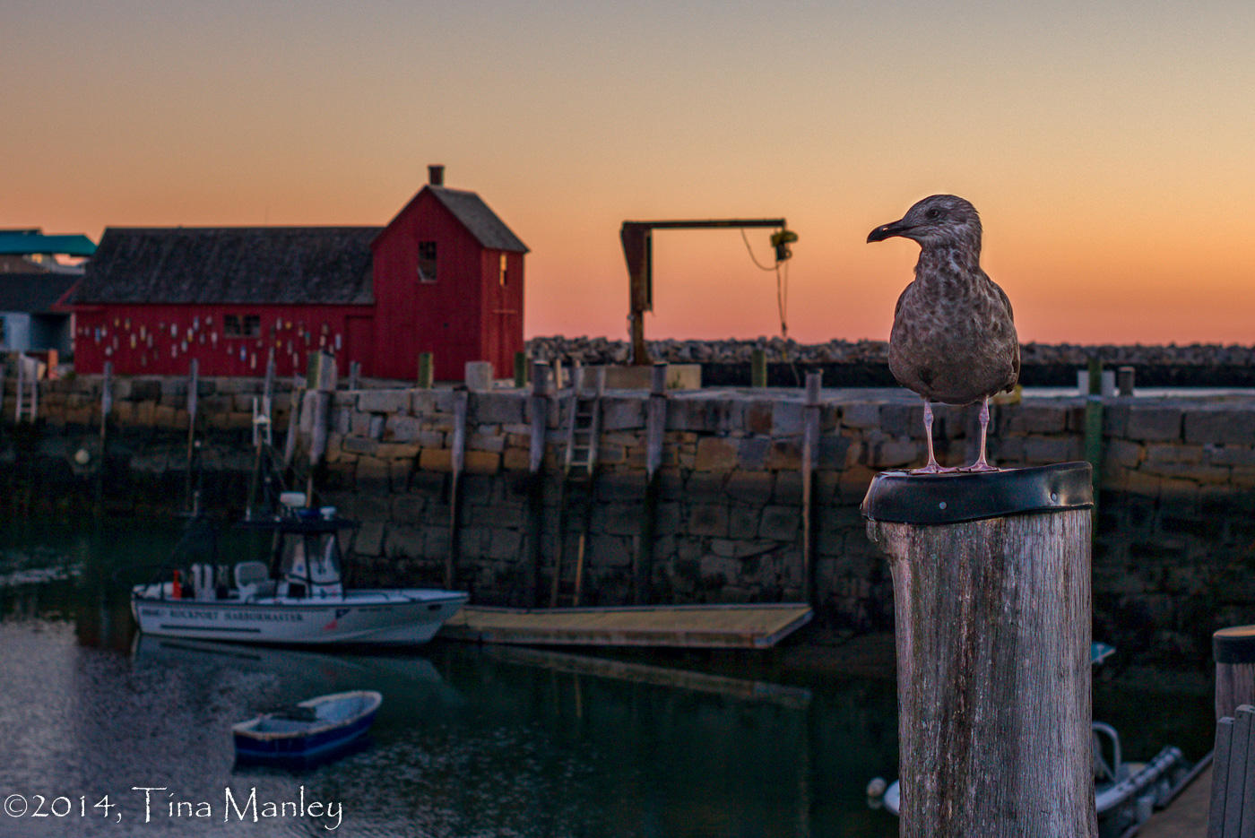 Motif #1, Seagull, and Sunrise